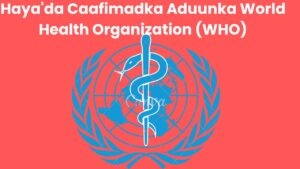 Haya'da Caafimadka Aduunka World Health Organization (WHO)