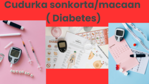 Cudurka sonkorta/macaan ( Diabetes)