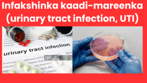 Infakshinka kaadi-mareenka (urinary tract infection, UTI)